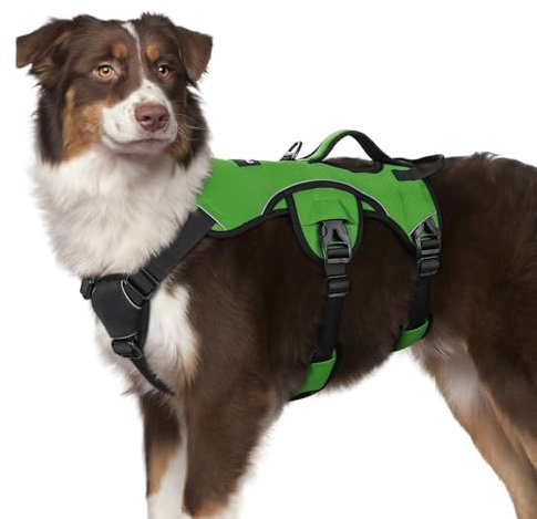 rabbitgoo Hundegeschirr Mittelgroße Hunde，Sicherheitsgeschirr Hund | Sicherer Hebegriff, einfache Kontrolle, Anti-Zug, verstellbar, Reflektierend, für Gassi & Training, M, Grasgrün