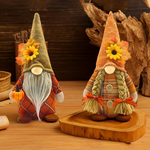 ADDLIVE Decorazione autunnale a forma di gnomo, 2 pezzi, decorazione autunnale con foglia d'acero, decorazione per il giorno del Ringraziamento, Capodanno, decorazione natalizia