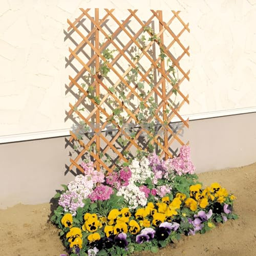 Treillis en bois réglable pour plantes grimpantes - Support de plantes de jardin - Décoration extérieure et intérieure - Idéal pour fruits, légumes, fleurs et pots