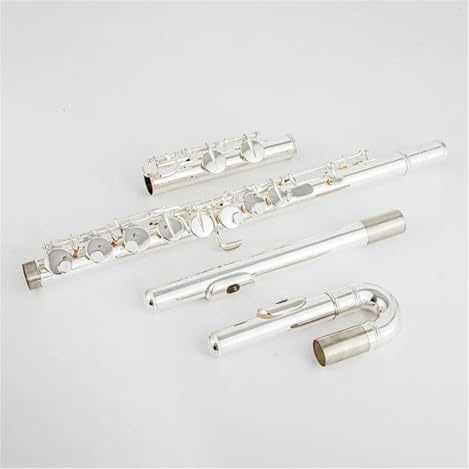 Querflöte Instrument Altflöte, G-Ton, 16 Löcher, Geschlossene Löcher, Versilberte Tasten, Professionelles Instrument Mit Koffer