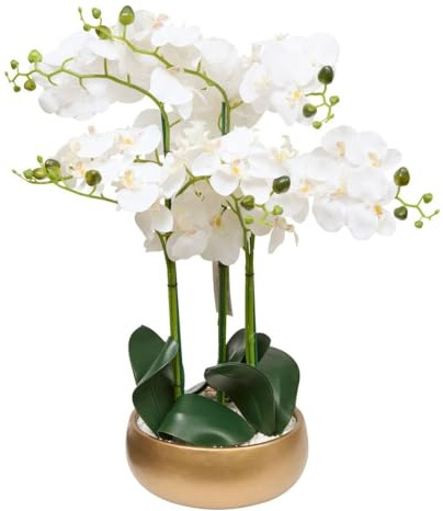 Atmosphera - Orchid Pot Dore Sanae h65