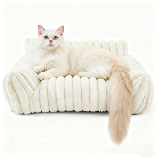 VEGOATY Orthopädisches Katzenbett & Hundebett Für Kleine Hunde - Großes Flauschiges Katzensofa 60x45x20cm Mit Waschbarem Bezug, rutschfeste Katzenhöhle & Katzensessel in Weiß, Atmungsaktiv
