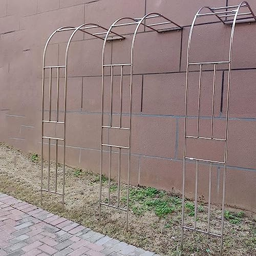Demi-arche en métal pour plantes grimpantes, tonnelle de jardin murale pour raisins et rosiers, arche tubulaire d'extérieur 60-350 cm (l x H : 160 x 240 cm)