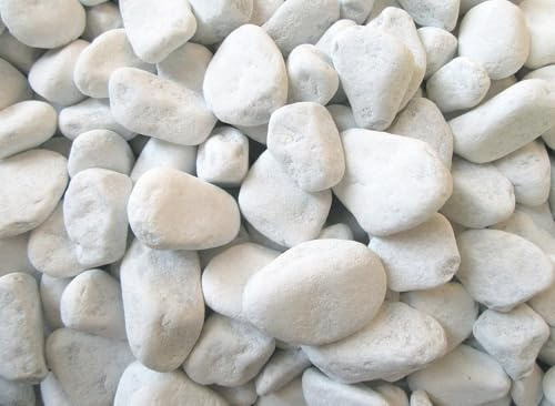 1 Kilogramm (Kg) Deko-Steine | Carrara Marmorkies | 40-60 mm | Edler Zierkies für Haus & Garten | Perfekt für Bodenvasen, Windlichter & Gartenprojekte | Gerundete Natursteine | Vielseitig & stilvoll