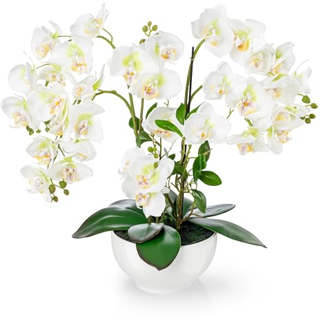 PASCH® XXL Kunstblume Orchidee groß (56cm) in Hochglanz-Keramiktopf | Orchideen künstlich | Kunstblumen wie echt | künstliche Orchideen im Topf | künstliche Blumen im Topf (Weiß)