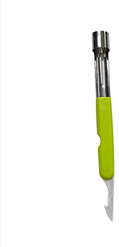 Easy Grip Apple Corer Slicer-Divider-Cutter-Wedger, Ergonomic Plastic Grip Handle, Light Weight 8-Blades (Assorted) (Corer Remover 17cm Green)