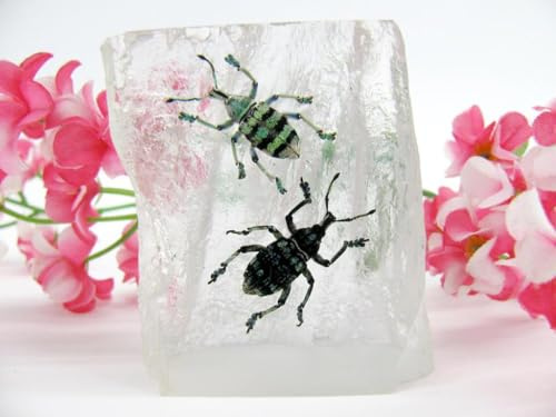 In Kunstharz gegossene Schmetterlinge, Insekten, Skorpione und mehr. Briefbeschwerer, Icemountain, nicht scharfkantig (2 Insekten)