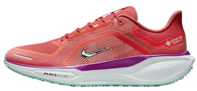 Men's Pegasus 41 GORE-TEX (600 - Picante Red/Green Frost-Bright Crimson)