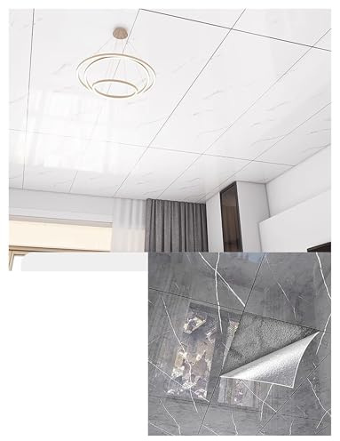 10 selbstklebende Deckenplatten, wasserdichte PVC-Wandpaneele for Abdecken von Flecken/Rissen, einfach anzubringen for Küche, Bad und Schlafzimmer(Grey)