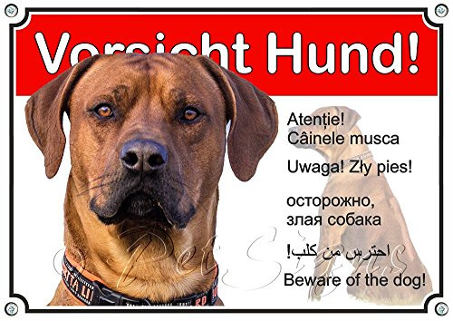 Petsigns Hundeschild - Rhodesian Ridgeback - Metall Warnschild - wetterfest, DIN A4