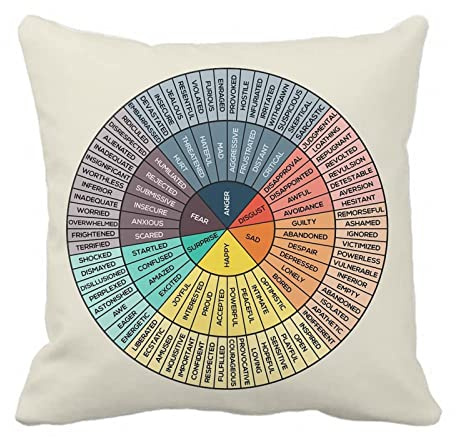 Wheel of Emotions Feelings Velvet Throw Pillow Covers Cozy Square Pillowcases Home Decor for Bed Couch Sofa Therapy Office Living Room Cushion Covers Counselor Physical Therapist Gifts 18x18