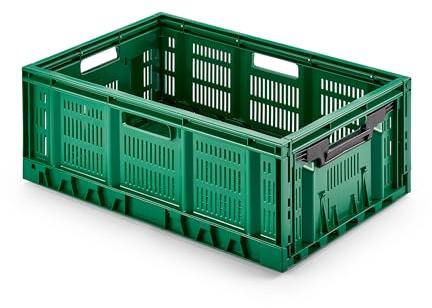Stabil professionell hopfällbar låda, 60 x 40 cm (lxbxh) väggar genombrutna/perforerade, vikbar och stapelbar, industriell kvalitet av DE, hållbar, 100 % återvinningsbar, livsmedelssäker (grön, 60 x