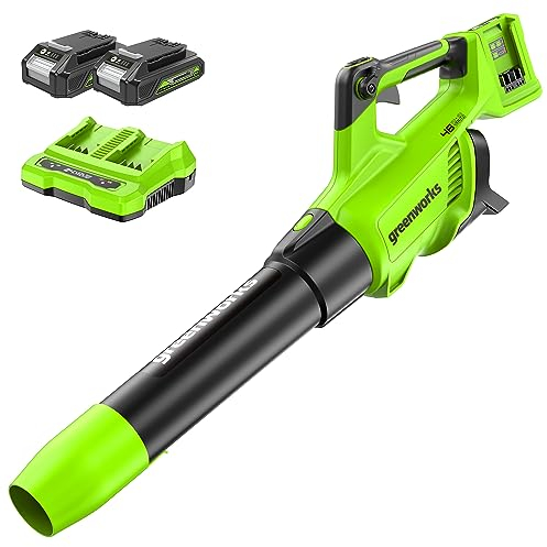 Greenworks Tools Axial Akku Laubbläser 48V(2 x 24V) Laubgebläse mit Turbo Buton (max. Windgeschwindigkeit 225 km/h) inklusive 2 2Ah Lithium Akkus und Ladegerät