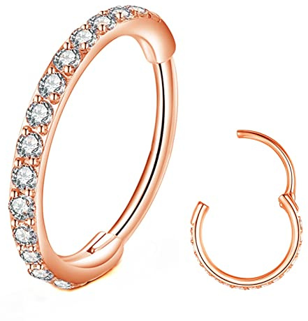 BLESSMYLOVE Clear CZ Nose Rings Hoop 316L Surgical Steel Cartilage Earrings Conch Daith Helix Rook Tragus Lobe Snug Body Piercing Jewelry 20G 18G 16G Stainless Steel Hinged Segment Rings Lip Rings