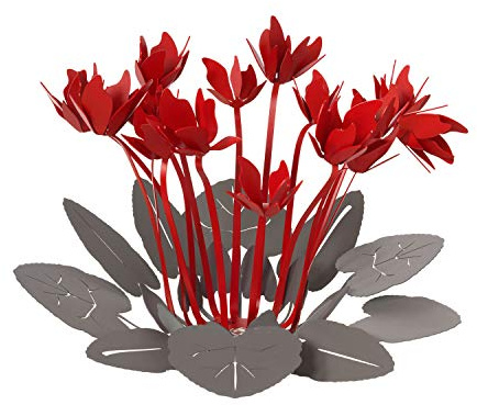 Ciclamino, Centrotavola Ardesi e Rosso