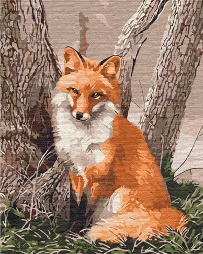 Artnapi Malen nach Zahlen Erwachsene mit Rahmen | DIY Handgemalt | Tiere - Fuchs im Wald | Kit für Anfänger und Erwachsene | Set inklusive Acrylfarben & Pinsel | 40x50cm Leinwand | Ideal als Geschenk