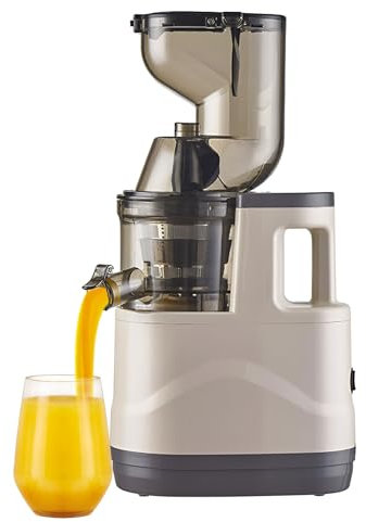 AIZYR Extracteur De Jus Extracteur De Jus Puissant, Extracteur De Jus Centrifuge De 500 W 99% De Pureté du Jus Extraction De Jus De Fruits Et De Légumes,Blanc