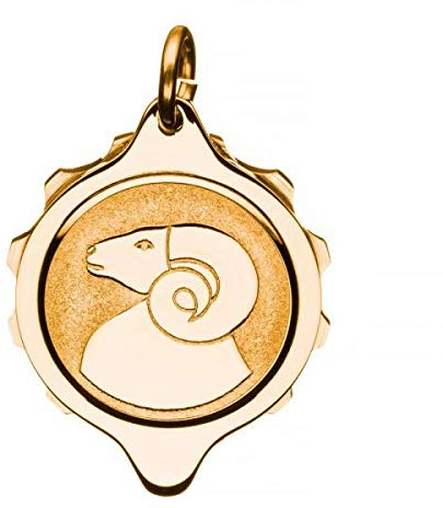 SOS Talisman Anhänger vergoldet, Sternzeichen Widder, Notfallkapsel für wichtige medizinische Informationen