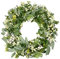 COLORSPEC Eucalyptus Wreath for Front Door, 46 cm/18 inch Spring Summer Green Wreath, Lifelike Artificial Small Door Wreath Decoration for Farmhouse, Wedding, Home, Window, Wall, Fireplace