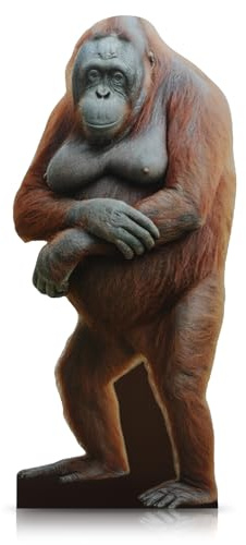 Yookeer 5.2 ft Orangutan Cardboard Stand-up Cutout Life-Size Cardboard Stand up Safari Zoo Theme Party Decoration Backdrop Photo Props for Animal Themed Baby Shower Party Supply