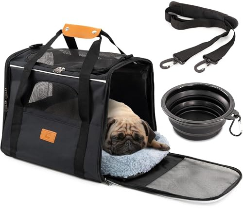 Cool Paws Pet Carrier Bag for Cats & Small Dogs – Lightweight, Breathable Pet Travel Bag with Mesh Sides, Reinforced Frame, Removable Mat & Shoulder Strap for Secure Transport