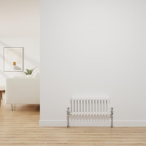 NRG Radiador tradicional blanco brillante de hierro fundido de 2 columnas de calefacción central horizontal radiador de baño 300 x 605 mm