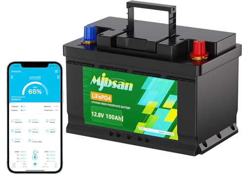 Mjbsan 12V 100Ah Mini LiFePO4 Lithium Batterie mit Kleiner Größe und geringem Gewicht, Eingebaute 100A BMS und Klasse A Zellen, 4000-15000 Zyklen mit 10 Jahren für Wohnmobil, Solar, Boot und Camping