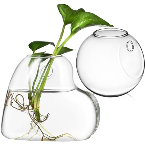 Gatuida 2 Stück Hängende Glas Wandvase aus Hochwertigem Borosilikatglas Vielseitige Hydroponik Pflanzenhalter für Zimmerpflanzen Einfach zu Montierende Wanddekoration für Innenräume