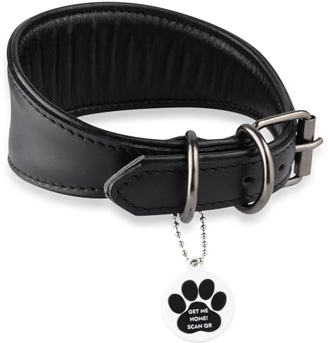 FAVPET Echtleder Windhund Halsband mit QR Code Anhänger, Weiches Lederhalsband Hund Breit Whippet Italienisches Windspiel Saluki Lurcher Spanischer Galgo Greyhound Podenco, Hundehalsband Leder (S)