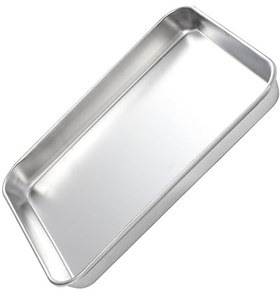 DECHOUS Vassoio Rettangolare in Acciaio Inox Resistente, 26,5 x 15,5 x 1,2 Cm, Vassoio Porta-Cibo Pratico per Dessert e Frutta in Casa