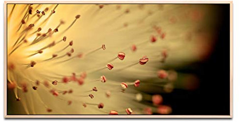 orange Blumen ca. 130x70cm Wandbild inklusive Schattenfugenrahmen naturfarbend - Panorama Leinwand Bild XXL Format Wandbilder Wohnzimmer Wohnung Deko Kunstdrucke