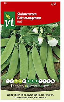 Pois Norli Graines - Les pois mangetout