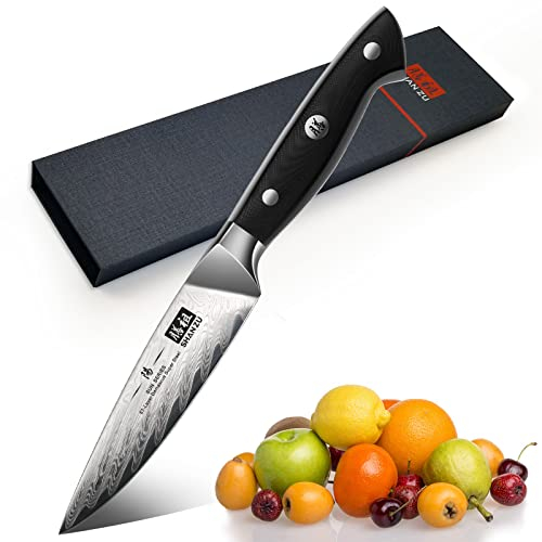 SHAN ZU Damastmesser Schälmesser, Damaskus Gemüsemesser Spickmesser Obstmesser Küchen Messer, 67-Schicht Damaststahl AUS10 Stahl Sharp Damast Messer mit G10 Griff/Geschenkbox
