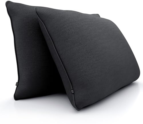 Sofakissen 40x60 cm 2er Set – weiche, prall gefüllte Couchkissen mit Bezug | Weiche Dekokissen für Sofa & Couch · prall gefüllt inkl. Bezug · Wohn- & Schlafzimmer · Bezug waschbar · OEKO-TEX