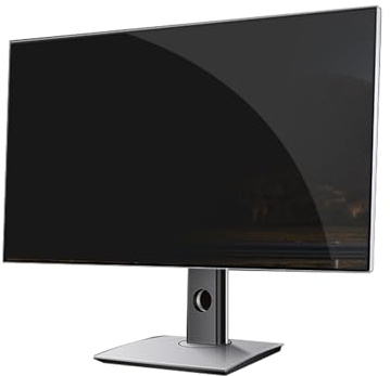 ciciglow Filtre D'écran de confidentialité, Angle de Vue ± 30 °, Protecteur D'écran Bloquant la Lumière Bleue, Moniteurs 13,3 à 27 Pouces, pour Ordinateurs Portables de Bureau (14 pouces)