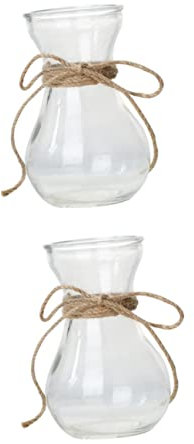 Yardenfun Jarrón de Vidrio Transparente 2 Piezas Florero Artesanal para Bulbos Maceta Decorativa para Plantas Hidropónicas Adorno para Escritorio Adecuado para Interiores y Exteriores