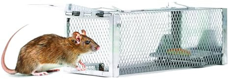 ROQSO – Mäusefalle lebend Premium Rattenfalle Lebendfalle XXL mäuse Tierfreundliche Ratten Wiederverwendbare Hochsensitive Köderfixierung für Haus Küche Garten Lager Restaurant & Fabrik