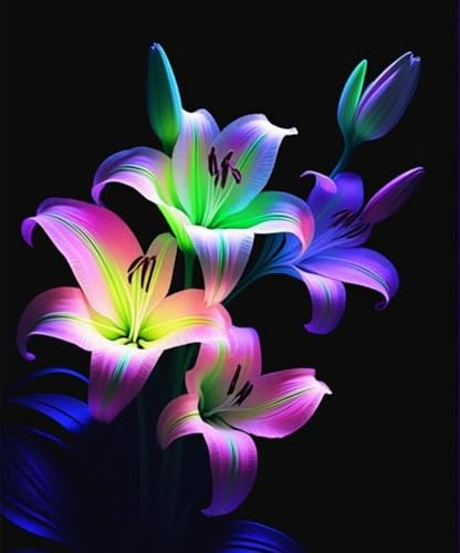 giglio bulbi,Robusto, lilium bulbi,Elegante, Nobile, Delicato, Naturale-2 bulbi-B