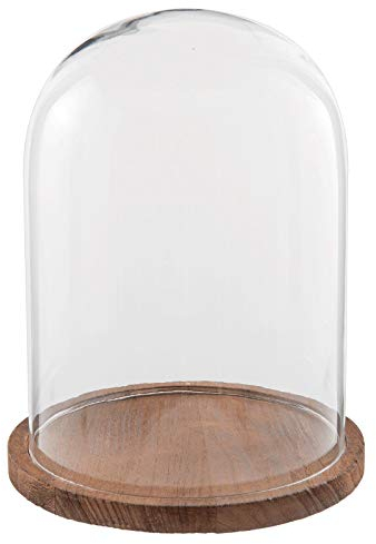 Small Glass Bell Jar Cloche Wooden Base Display Cover Stand 29 cm