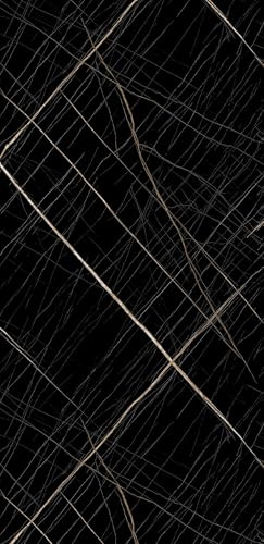 Duschrückwand Wandpaneele 122x244cm in Marmor- und Granitoptik (Sahara Black), Badrückwand Duschverkleidung Wandverkleidung aus 3mm PVC, für Innen- und Außenbereich