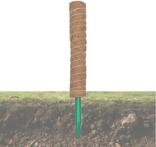 Bâtons de Mousse de Coco - Supports Amovibles pour d'intérieur - Aide à la Croissance des Monstera et Pothos - Fibres de Coco polyvalentes et Stables - Encouragez l'escalade pour Les