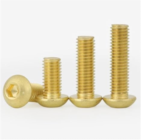 5-10 teile/los M2 M2.5 M3 M4 M5 M6 M8 ISO7380 Messing Linsenkopfschraube Messing Kopfschrauben (Color : 10mm, Size : M8 5pcs)