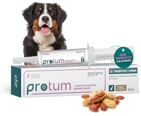Zanipro Probiotic Paste for Dogs, Dog Paste for Upset Stomach, Peanut, 30ml | Formulated with natural ingredients to support canine gut health, addressing issues like diarrhea and gut imbalance.