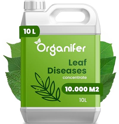 Concentré Pour Feuilles De Plantes – Maladies - 10 Litres - 10000 M2 - Catégorie Biostimulant – Pour Plantes D'Intérieur – Pour Jardin, Rosiers, Fleurs, Légumes, Fruits - Organifer
