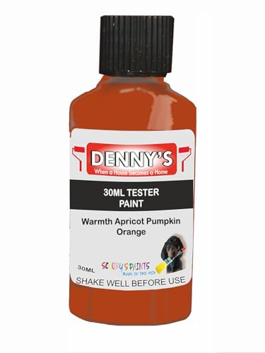 Premium Interior Wall & Furniture Chalk Paint – Warmth Apricot Pumpkin Orange – Rich Matt Finish, Durable & Washable, Low Odour, Ideal for Living Rooms, Bedrooms & Hallways (30ML Tester Bottle)