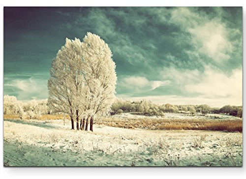 Leinwandbilder | Bilder Leinwand 120x80cm eisige Winterlandschaft mit Baum
