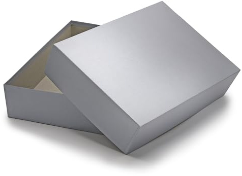 NEUSER PAPIER Geschenkbox mit Deckel DIN A4 – Aufbewahrungsbox Karton Silber bezogen – Geschenkkarton Schachtel stapelbar 302 x 213 x 70 mm, 1 Stück