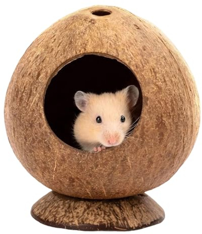 Casita para Hámster - Refugio Resistente A Mordiscos 13,5x12cm con Base Estable | Transpirable Perforado para Pequeños Animales, Cobayas, Erizos, Accesorio De Jaula, Cabaña
