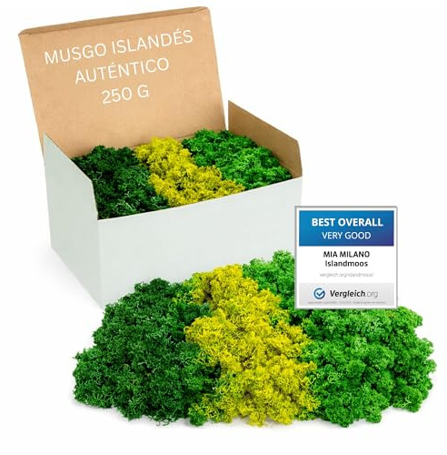 Mia Milano Islandmoos Mezcla Verde conservada | Decoración Natural para Manualidades y Cuadros | 250 g auténtico islandés estabilizado | Ideal para Pared Vegetal Viva