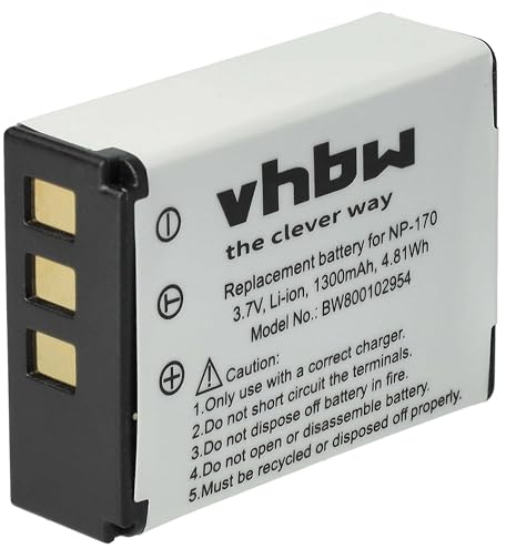 vhbw 1x Akku kompatibel mit Tevion DV-23 HD Videokamera Camcorder (1300 mAh, 3,7 V, Li-Ion)